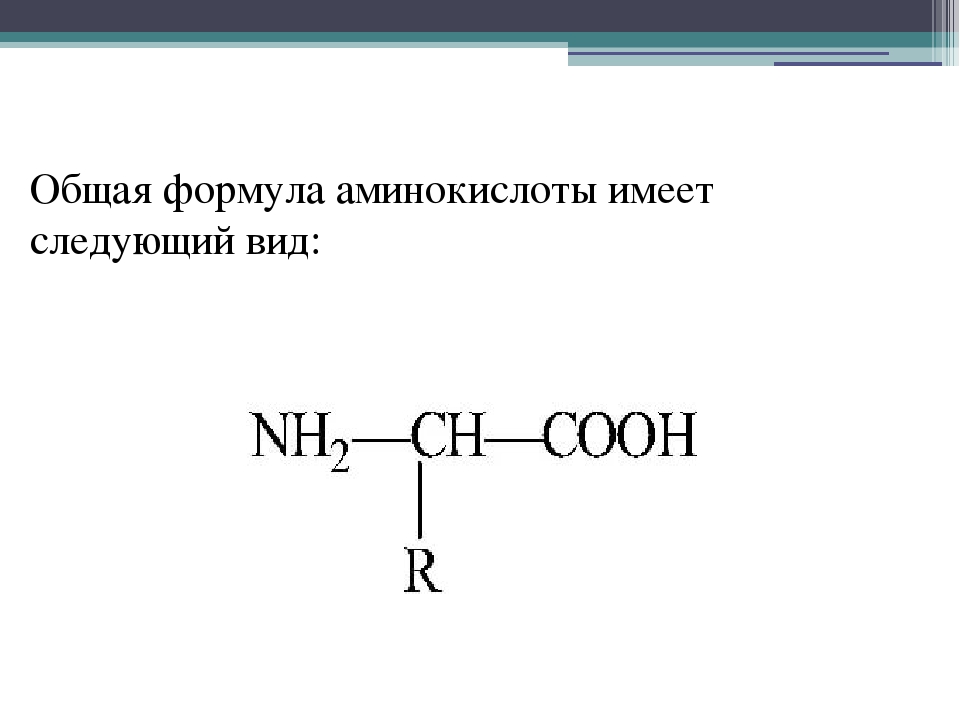 10 формул аминокислот. Общая формула аминокислот. Формула аминокислот общая формула. Общая структурная формула аминокислоты. Общая формула Альфа аминокислот.