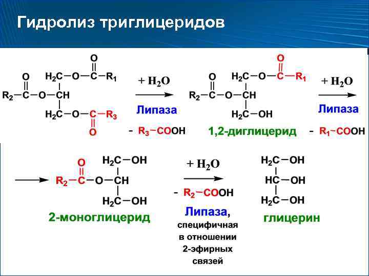 Схема реакций от глицерина до молочной кислоты