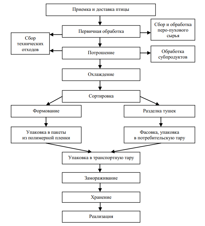 Технологическая схема первичной переработки птицы