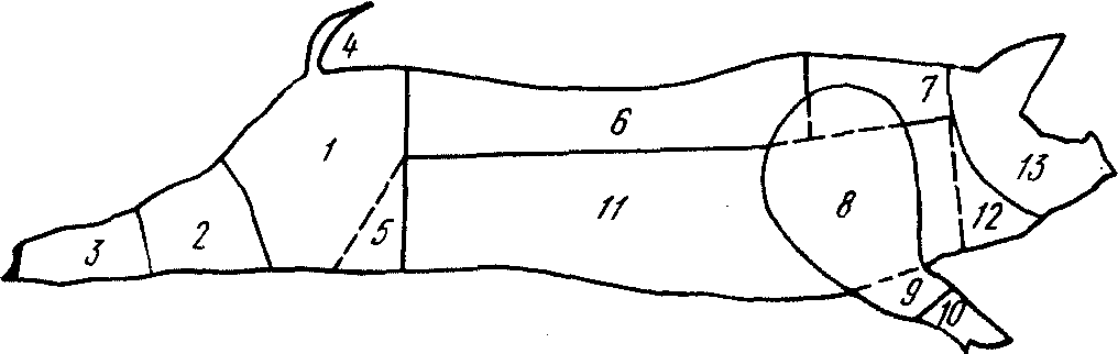 Разделка полутуши свинины схема