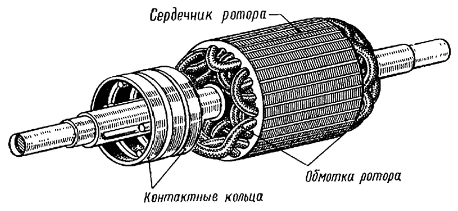 Фазный ротор асинхронного. Фазный ротор и короткозамкнутый ротор. Обмотка ротора асинхронного двигателя. Асинхронный двигатель с фазным ротором. Фазный и короткозамкнутый ротор асинхронного двигателя.