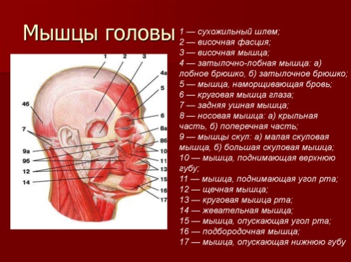 https://cf.ppt-online.org/files/slide/8/8lbg5klncuxmvsoynari7pxdwkitrycgeh2f3q/slide-3.jpg