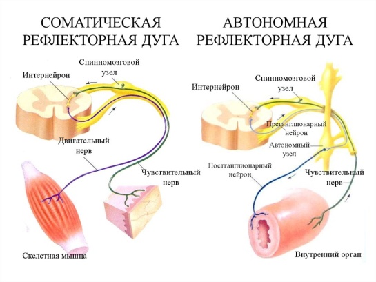 https://cf.ppt-online.org/files1/slide/v/vpjzlrewqkhu4npzmabqtidaoxvlng8h1dj0ytfgm/slide-20.jpg