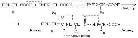 http://trotted.narod.ru/organic/lec-47/image826.gif