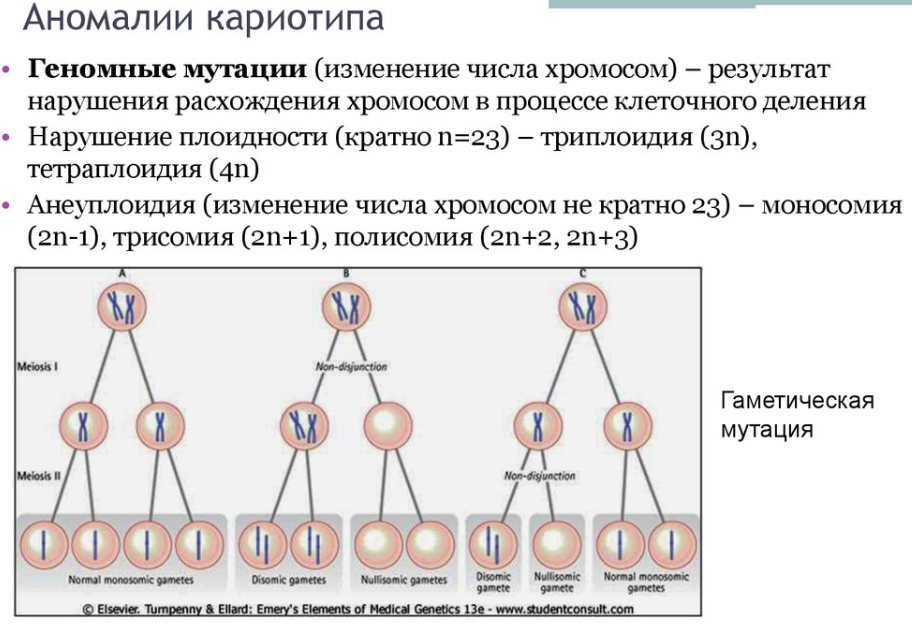 Изменение количества хромосом мутация. Хромосомная патология триплоидия. Аномалии кариотипа. Аномальный кариотип. Аномалии кариотипа человека.