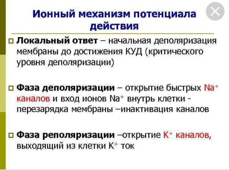 Формирование потенциала