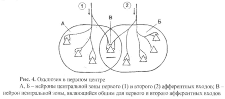 Окклюзия физиология