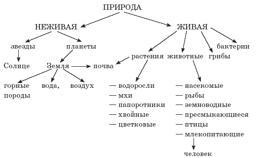 Химическая организация неживой природы. Классификация живой природы схема для начальной школы. Система природоведческих понятий в начальной школе. Талица Живая и неживая природа. Окружающий мир схема.