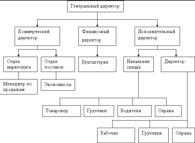 2 1 ооо. Организационная структура управления ООО. Организационная структура фирмы ООО. Организационная структура предприятия ООО. Схема организационной структуры предприятия 1с.