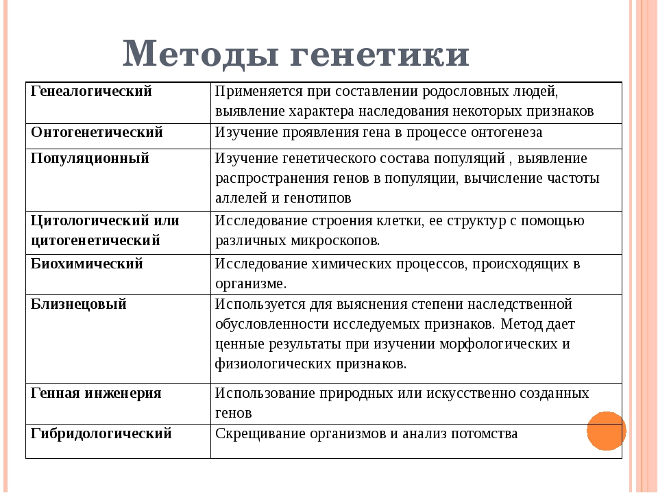 Методы исследования проекта по истории