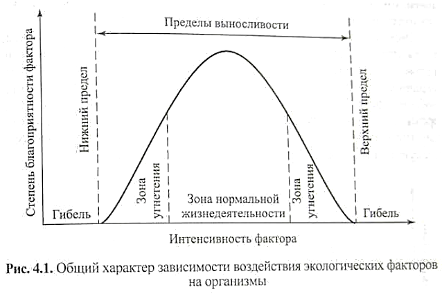 Предел выносливости