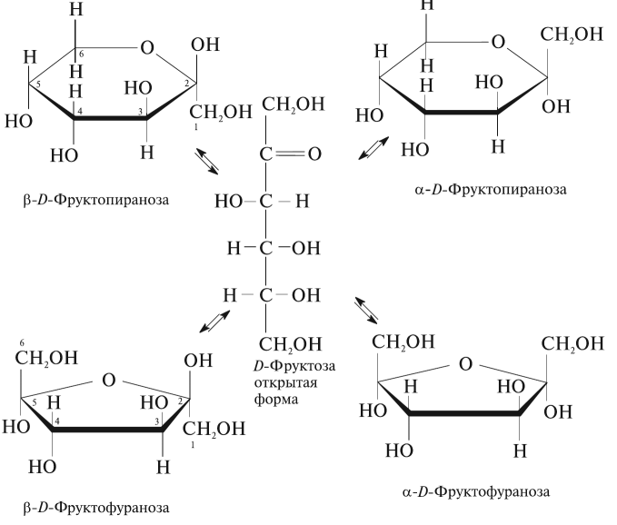 Взаимопревращения фруктозы глюкозы галактозы схема