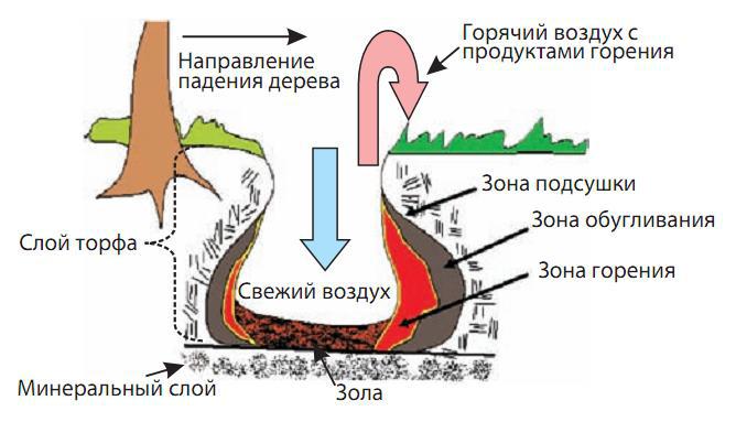 Карта ландшафтных пожаров