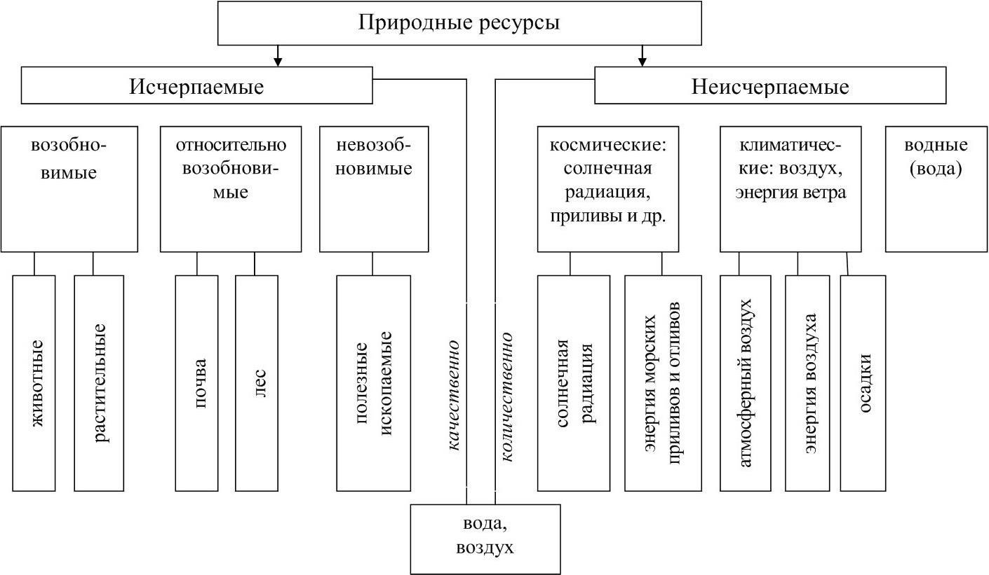 Природные ресурсы схема экология