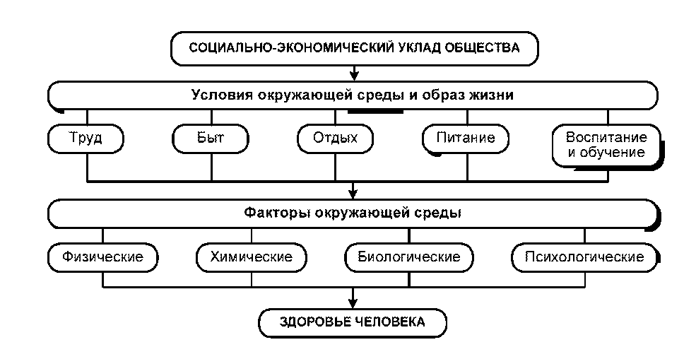 Жизненная структура. Социально экономические уклады. Социальные экономические уклады. Социально-экономические факторы окружающей среды. Социальный уклад.