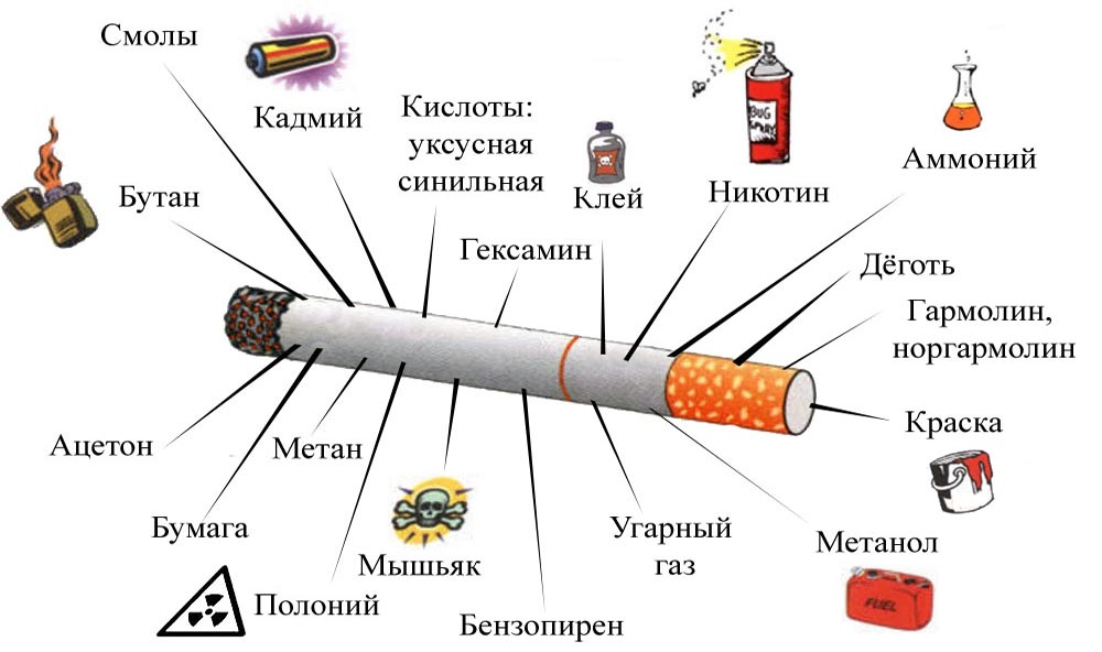Через сколько выходят сигареты из организма. Состав табака и табачного дыма. Состав табачного дыма диаграмма. Состав табачного дыма никотин. Табакокурение состав табачного дыма.