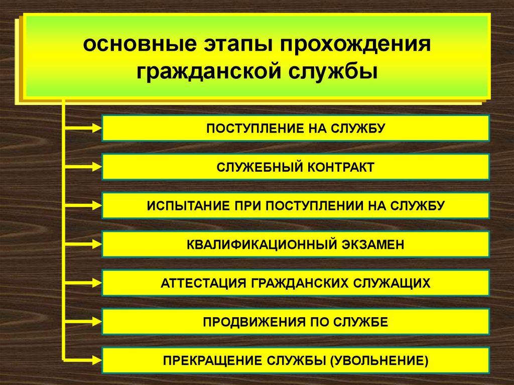 Прохождение государственной гражданской службы презентация