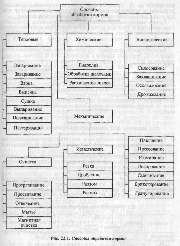 Схема классификации кормов