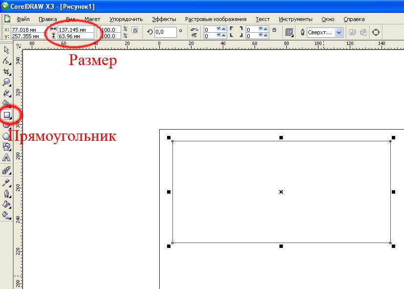 Как изменить размер картинки в кореле