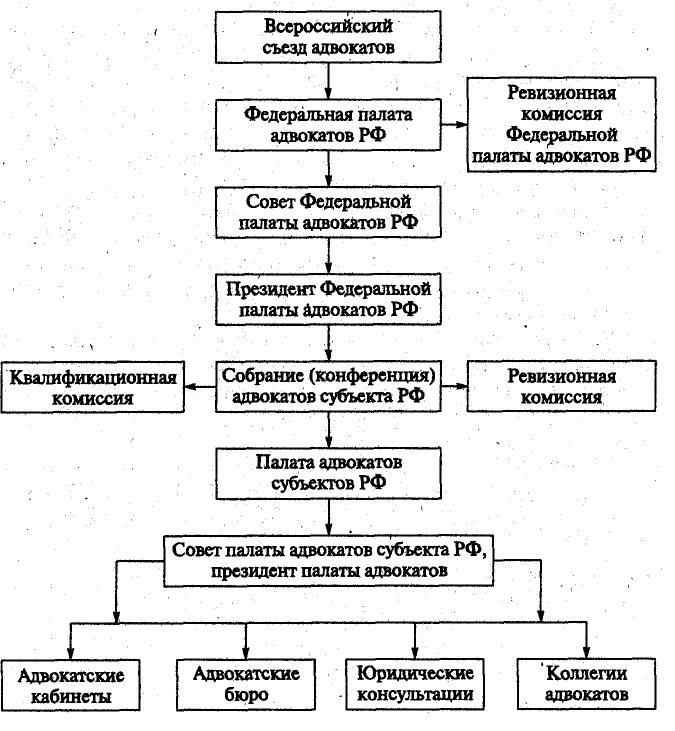 Структура коллегии адвокатов схема