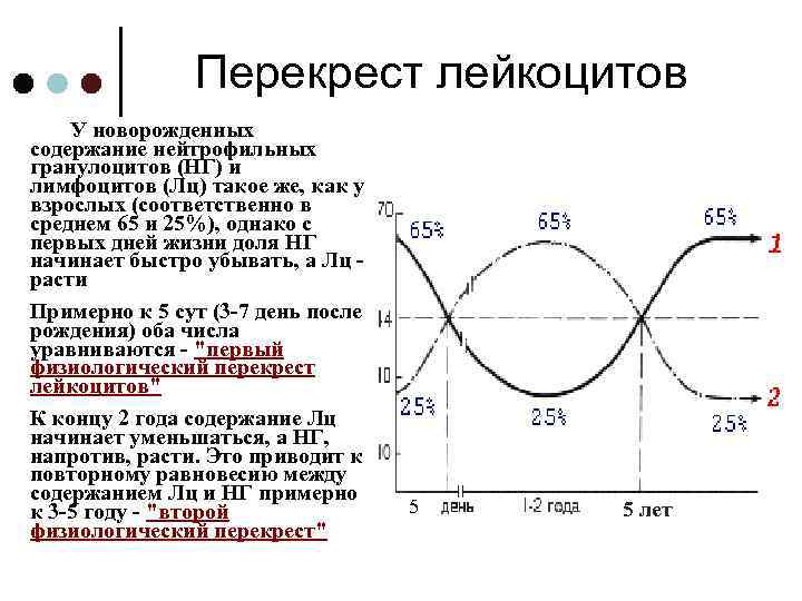 Схема физиологического перекреста лейкоцитарной формулы у детей