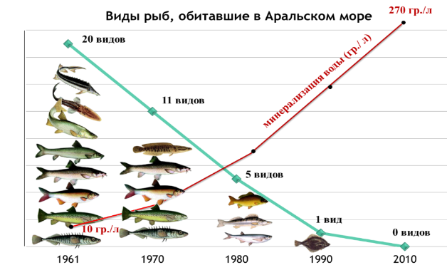 Почему численность промысловых рыб. Аральское море рыба. Какая рыба в Аральском море. Аральское море рыбалка. Виды рыб в Аральском море.