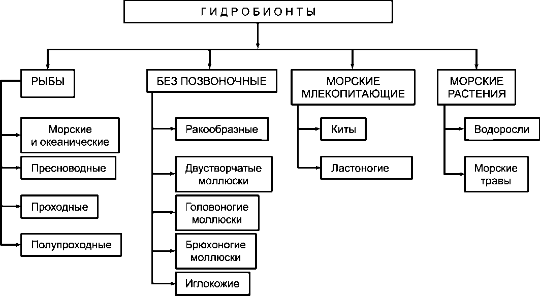 Виды искусственного питания схема