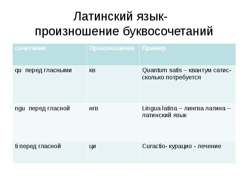 Терминология латинского языка