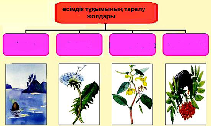 Өсімдік шаруашылығындағы көктемгі жұмыстар 5 сынып презентация