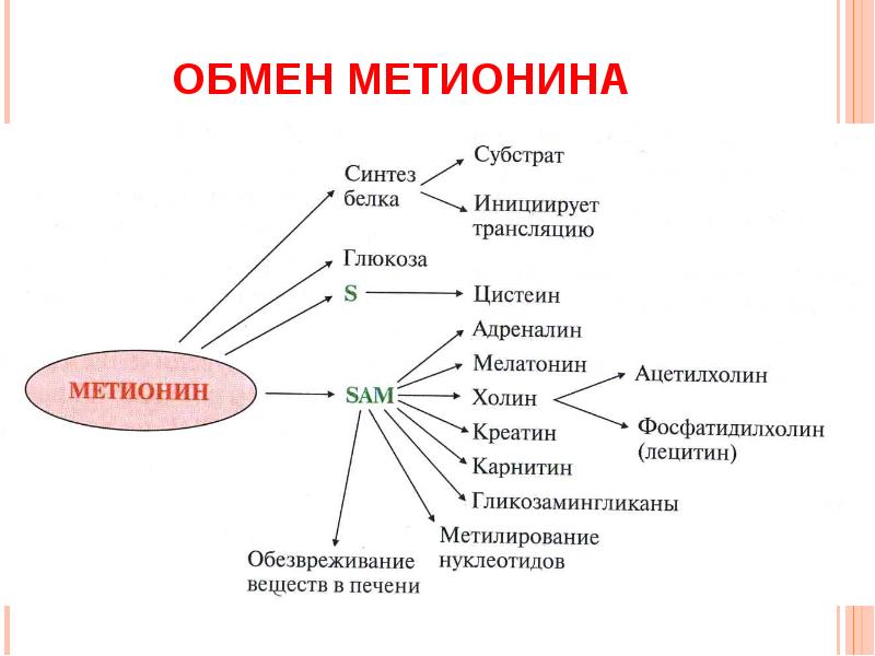 http://mypresentation.ru/documents/9a2cdbd22c7902556aa8be10b7ed23d4/img2.jpg