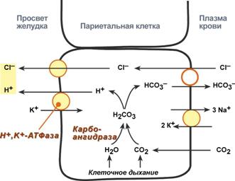 синтез соляной кислоты