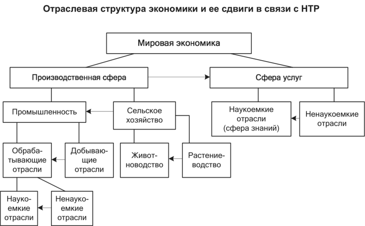 Даем характеристику отрасли промышленности мировой экономики по плану