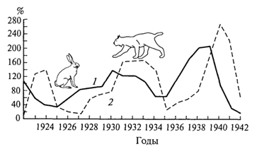 Зайцы изменение численности. Динамика численности зайца беляка график. Динамика численности зайца беляка. Заяц Беляк численность. Изменения численности Зайцев рысей.
