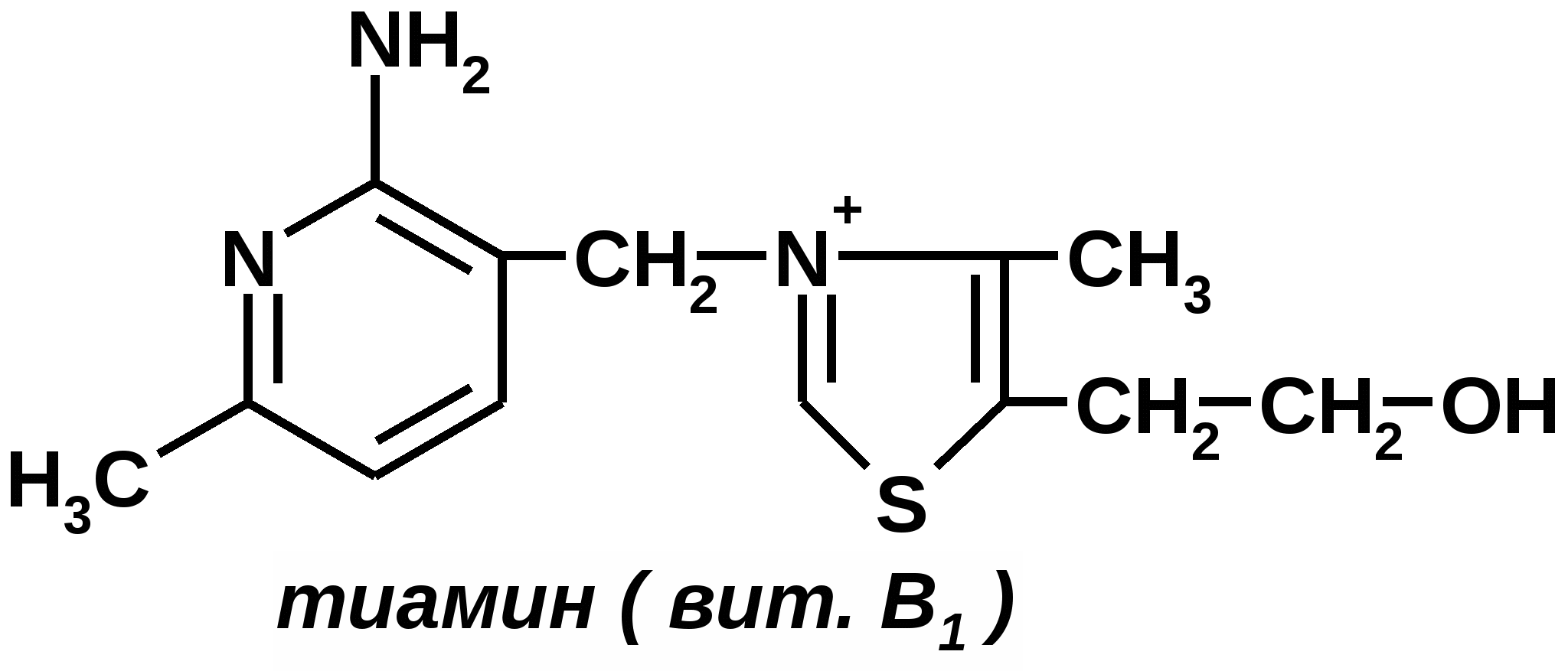 B строение. Витамин в1 формула. Структура витамина в1. Химическая структура витамина в1. Витамин в1 структурная формула.