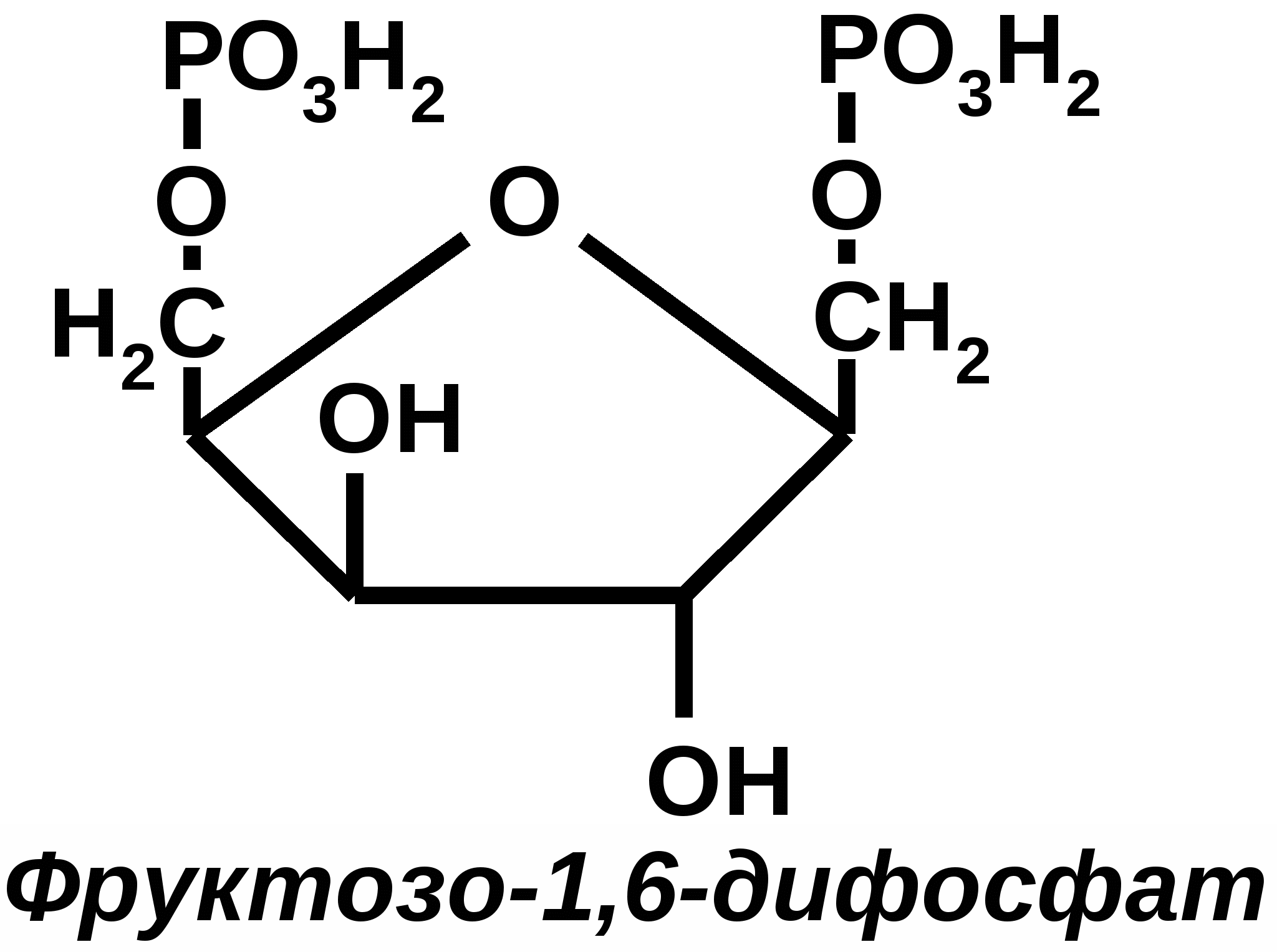 Фруктозо 1 6 дифосфат формула. Фруктоза 1 6 дифосфат в фруктозо 6 фосфат. 1 6 Дифосфат д фруктозы. Фруктофураноза 1 6 дифосфат.