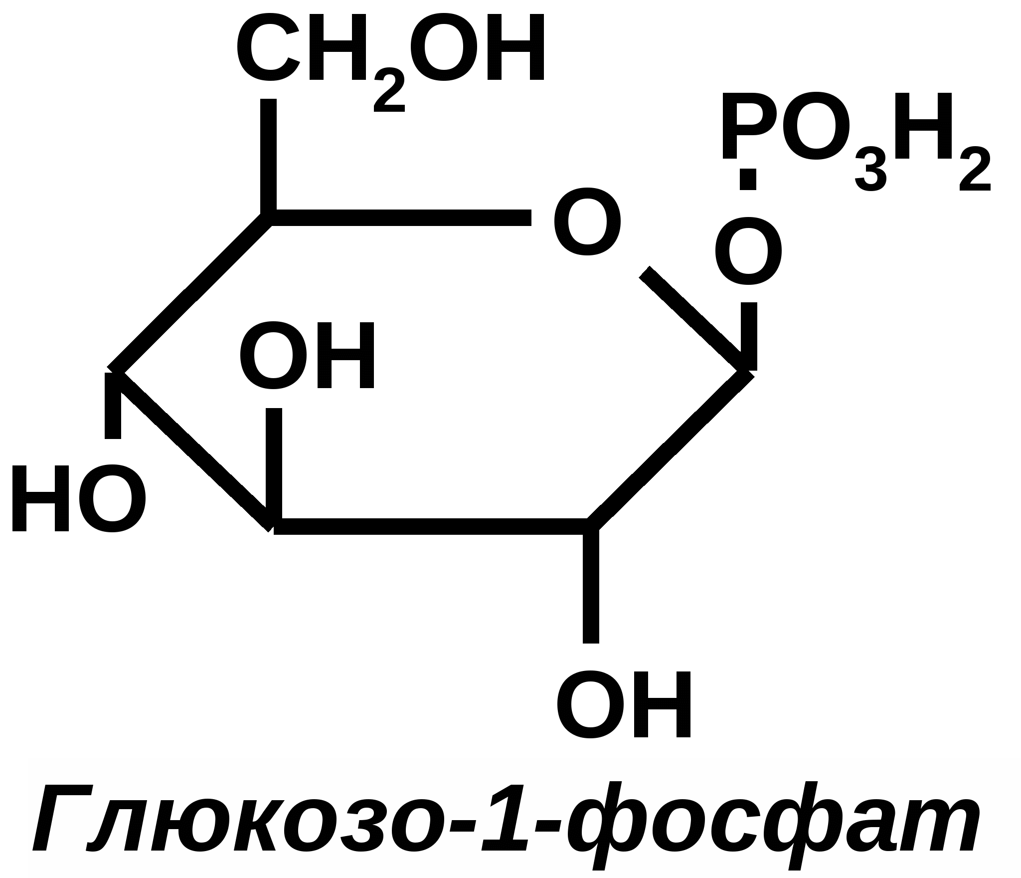 Фосфат формула. Глюкозо 1 фосфат формула. Образование глюкозо-1-фосфата. Глюкозо 6 фосфат формула. Глюкозо 6 фосфат формула структурная.