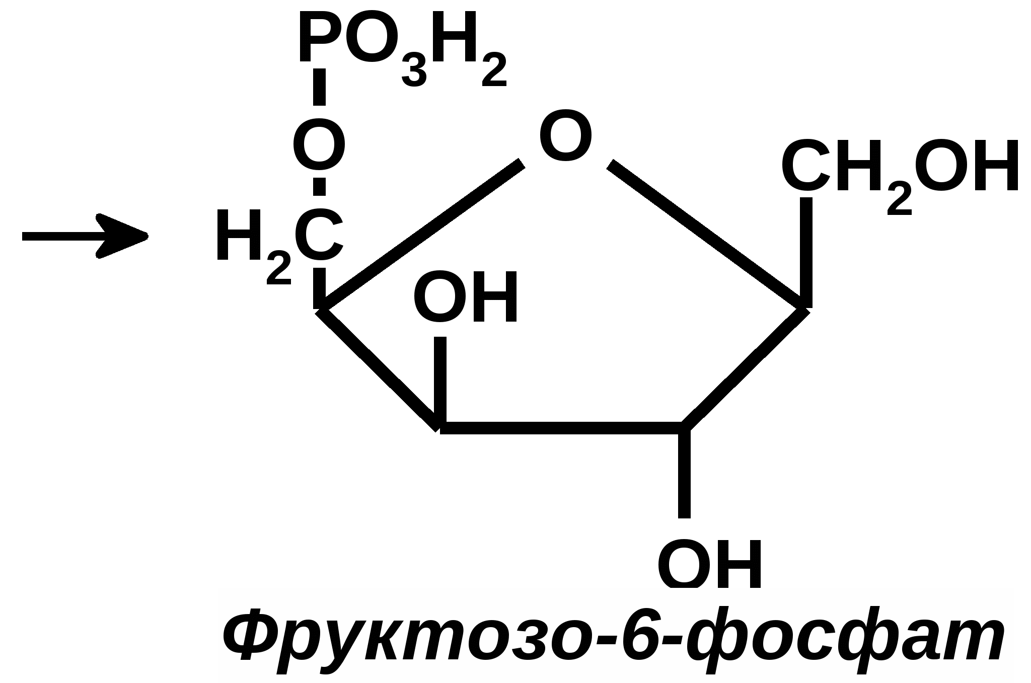 Фруктозо 6 фосфат формула. Структурная формула Глюкозы 6 фосфат. Глюкозо 1 фосфат формула. Фруктозо 6 фосфат формула структурная.