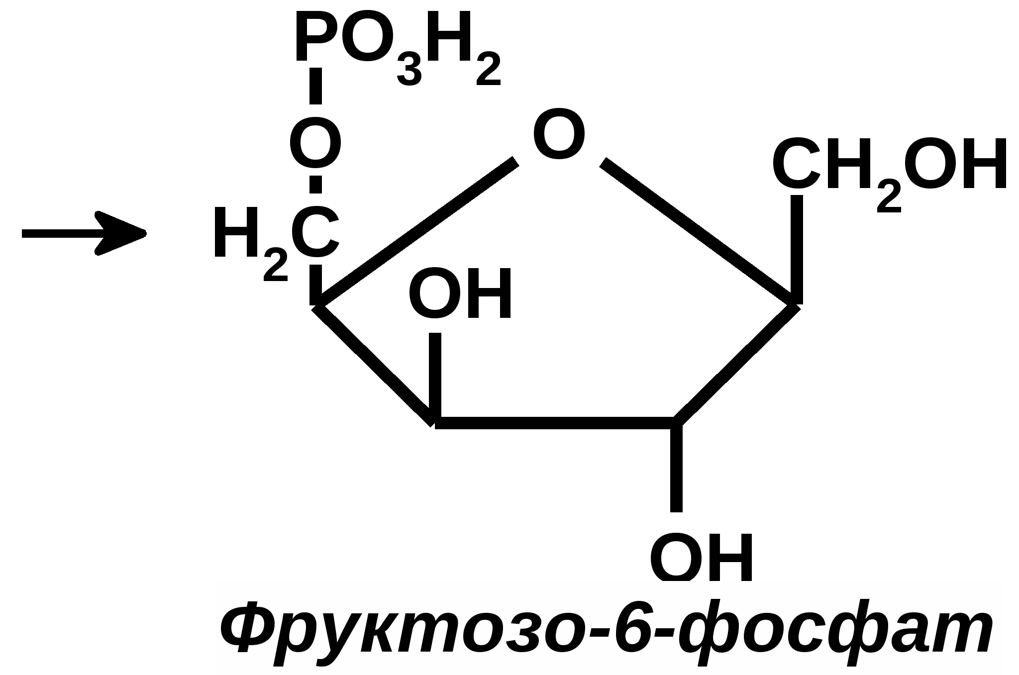 Фосфаты уравнение. Фруктозо 6 фосфат формула структурная. Фруктозо 6 фосфат формула. Фруктозо 1 6 фосфат формула. Превращение фруктозо 6 фосфат фруктозо 1 фосфат.