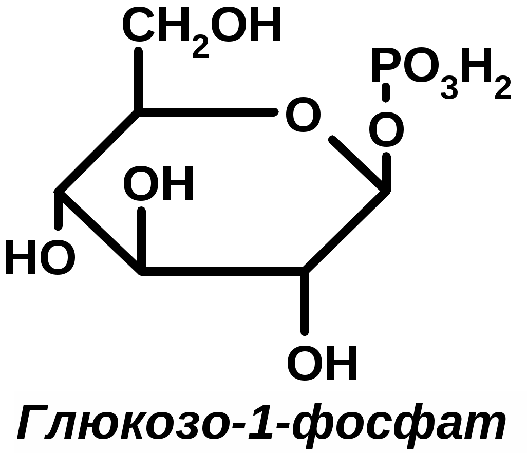 Формула спорит. Глюкозо 1 фосфат формула. Глюкозо 6 фосфат формула. Глюкоза 1 фосфат формула. Глюкозо 6 фосфат формула структурная.