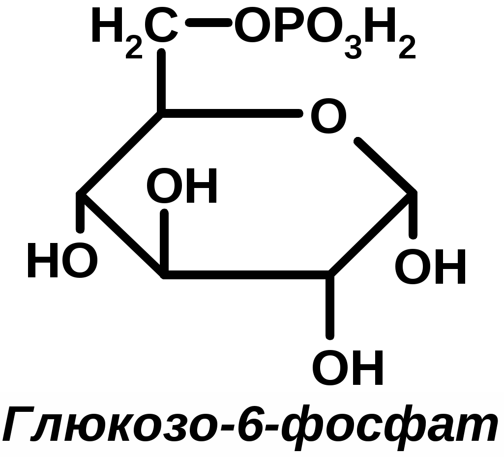 Формула шесть. Глюкоза в глюкозо 6 фосфат. Глюкоза 6 фосфат формула. Глюкозо 6 фосфат формула. Глюкоза 6 фосфатструктурная формула.