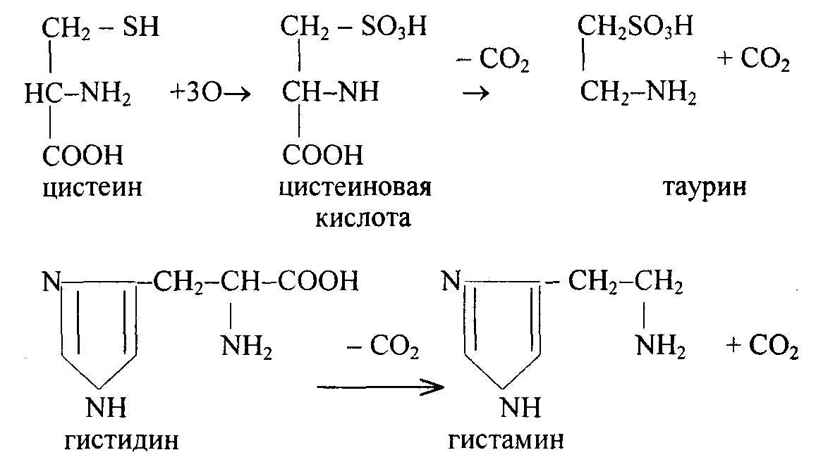 Синтез таурина