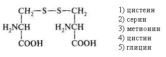 Метионин глицин серин