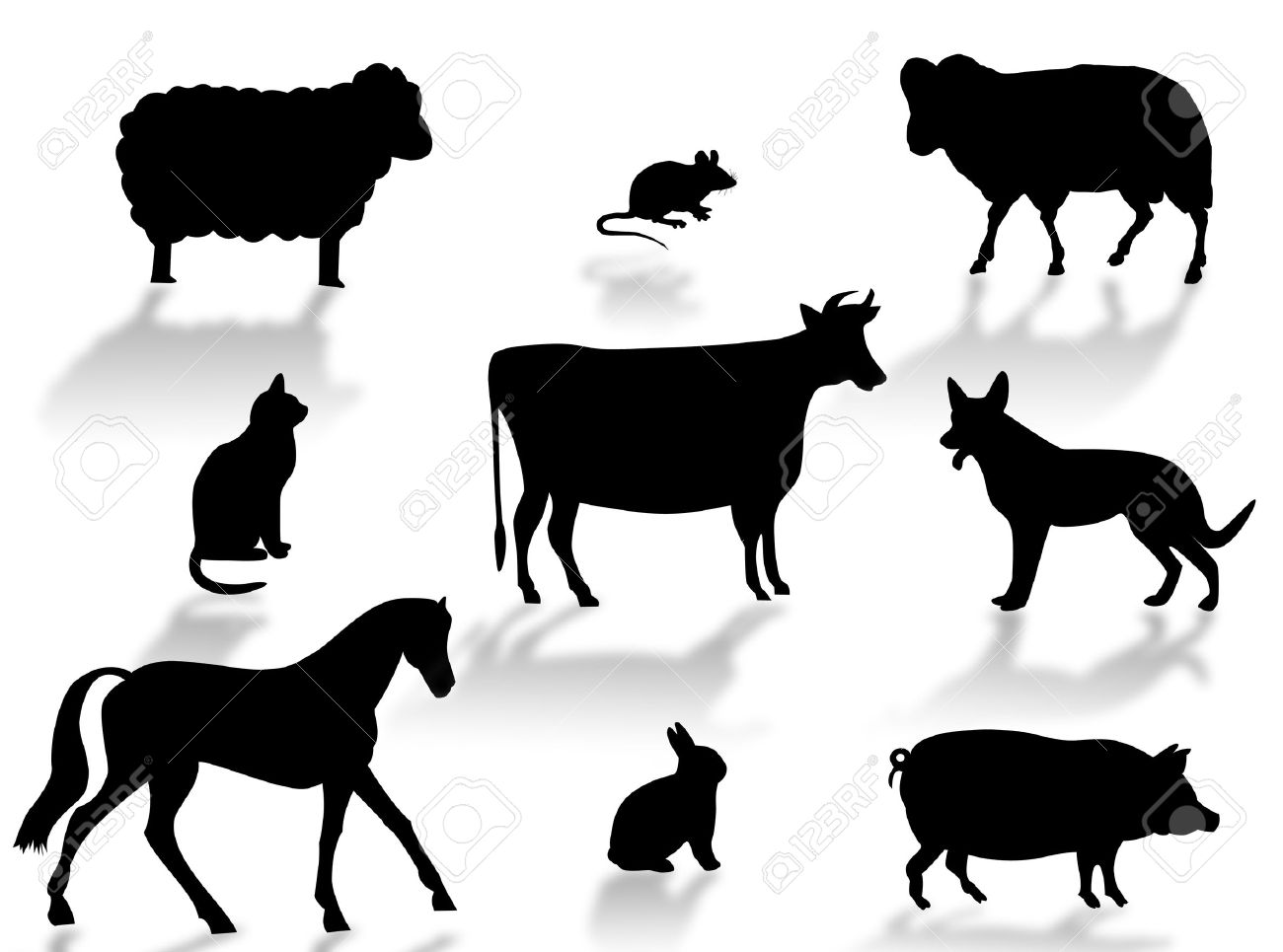http://previews.123rf.com/images/guilu67/guilu670709/guilu67070900002/1584793-farm-animals-silhouettes-with-shadows-on-a-white-background-stock-photo.jpg