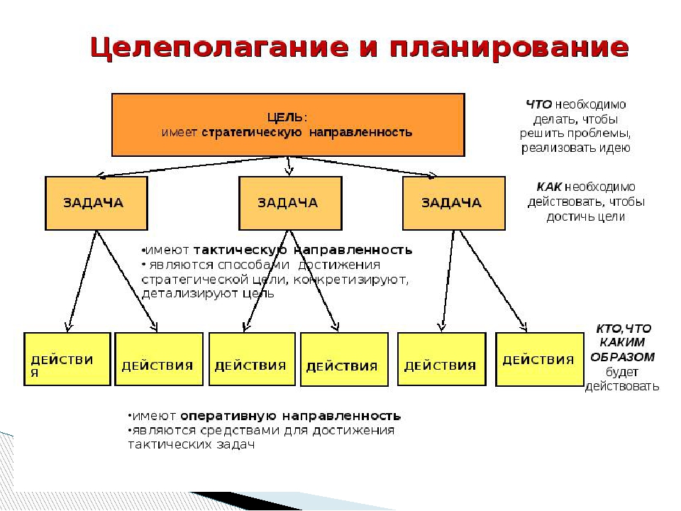 Цель является основой формирования целевой направленности системы целей управления проектами