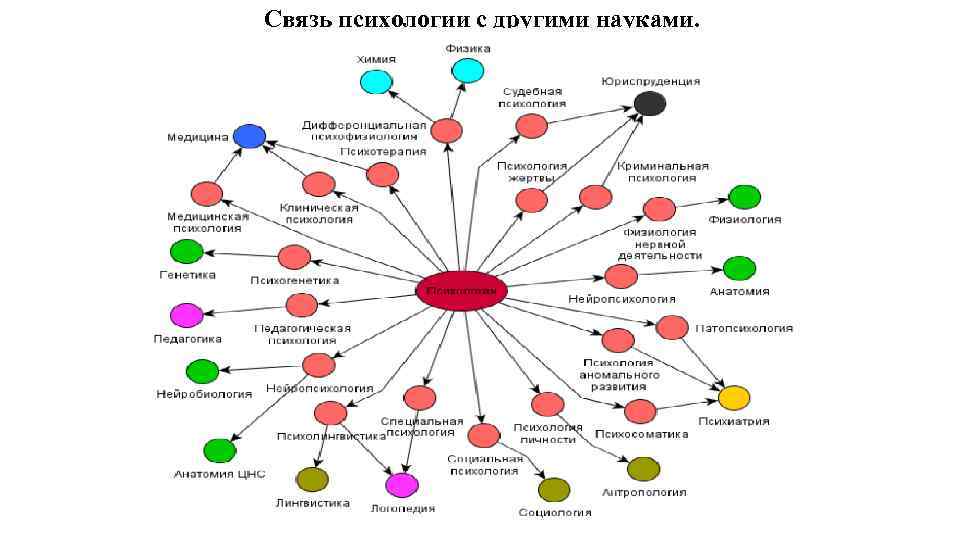 Схема отражающую связь психологии развития и возрастной психологии с другими науками