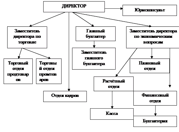 Схема структура торгового предприятия схема