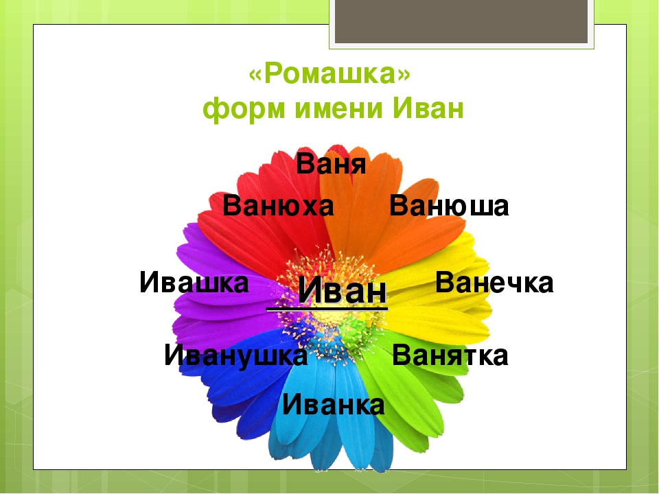 Разбор имени ваня. Формы имени Иван. Что обозначает имя Ваня. Проект тайна имени Ваня. Ромашка форм имени.