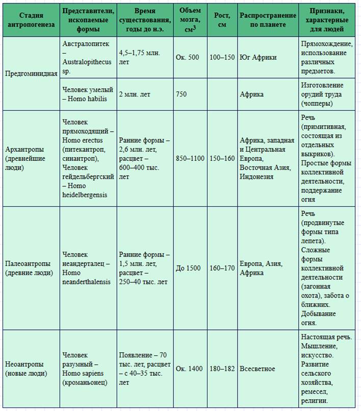 Особенности эволюции человека презентация 10 класс