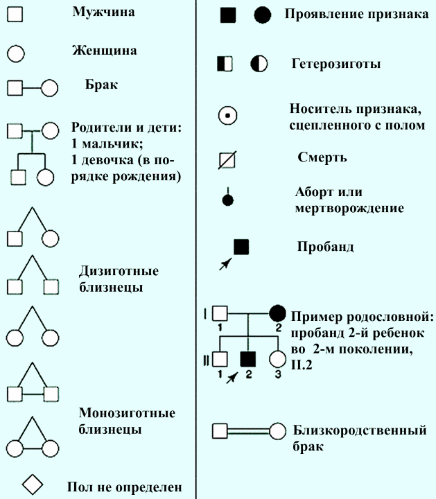 Обозначение признака. Тип наследования схема обозначения. Условные обозначения болезней. Обозначение человека на схеме. Условные обозначения родословной.