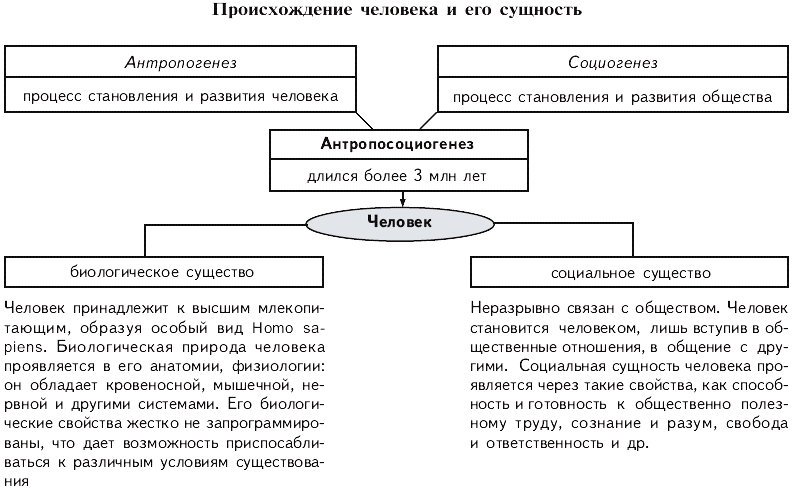 Понятия связанные с обществом. Происхождение и сущность человека. Происхождение человека и его сущность Обществознание. Сущность человека схема. Сущность человека таблица.